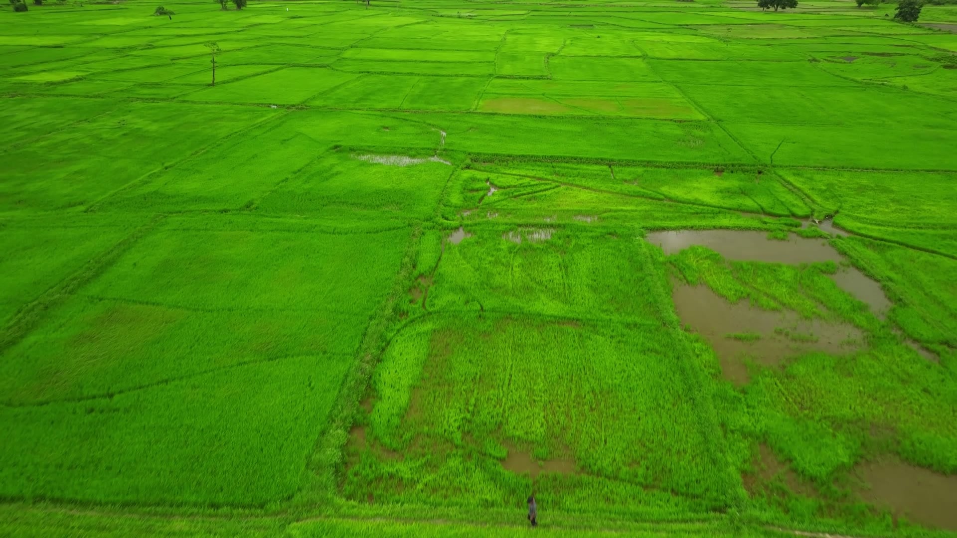 An aerial view of cultivated fields and the landscape around them