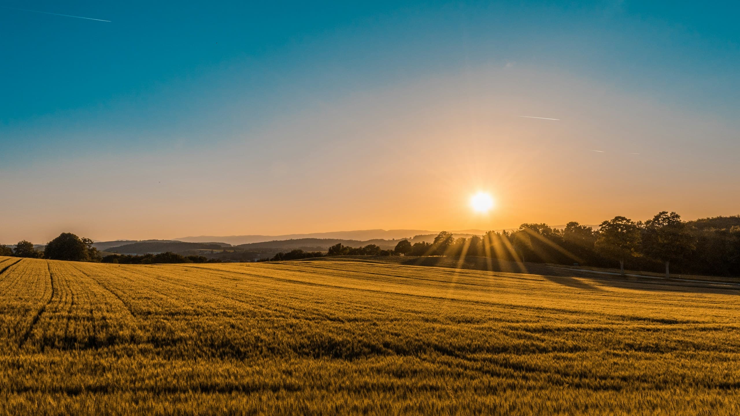 Cultivated fields and a distant treeline under an open sky, a reference landscape for real-world problem solving